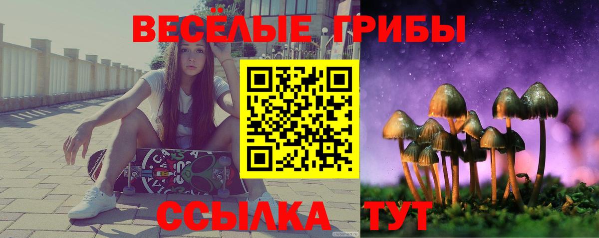 Белогорск  Псилоцибиновые грибы Psilocybine cubensis  Вход с VPN 