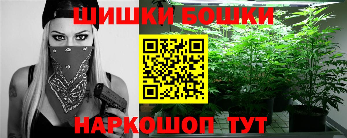 Белогорск  Канабис гибрид  Вход с VPN  Канабис семена 